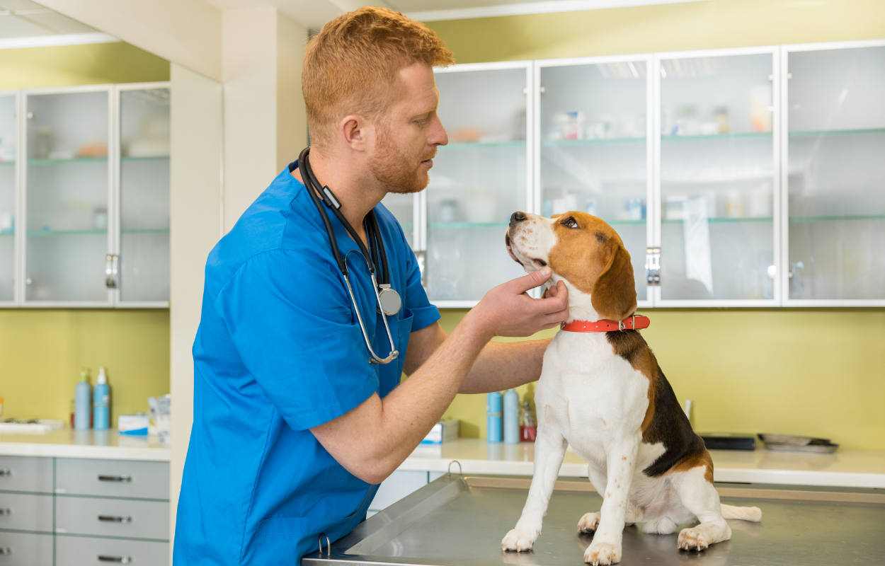 Service Businesses Bookkeeping services for California businesses